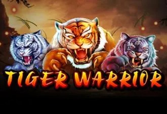 Tiger Warrior