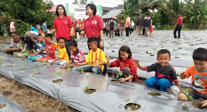Kebun Sekolah Ajak Siswa Kenal Pertanian Modern