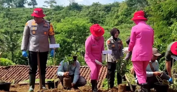 Pemerintah Luncurkan Dana Hibah untuk Tani Organik
