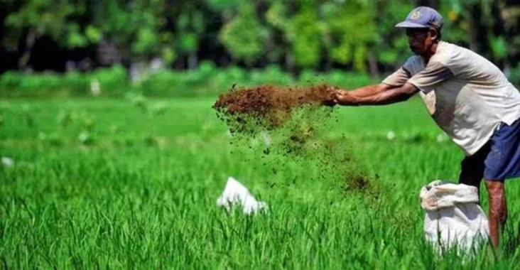 Petani Mulai Terapkan Pola Tanam Ramah Lingkungan