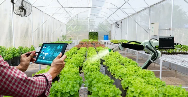Smart Farming Permudah Petani Awasi Proses Tanam