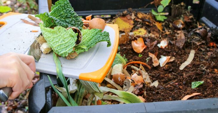 Membuat Pupuk Kompos untuk Tanaman Sayur