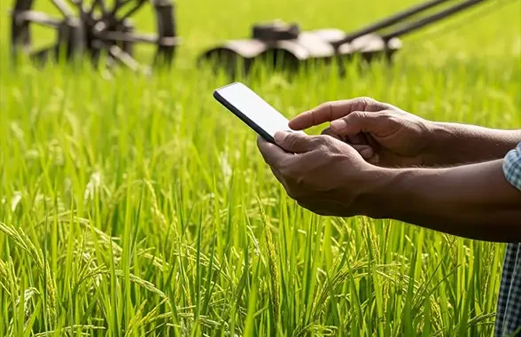 Penggunaan Aplikasi Mobile dalam Manajemen Usaha Tani