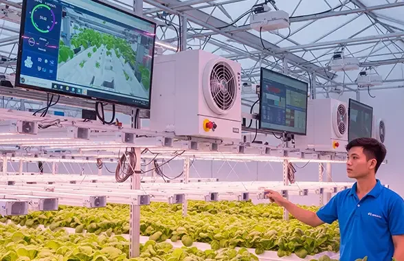 Sistem Kendali Iklim Cerdas untuk Produksi Sayuran